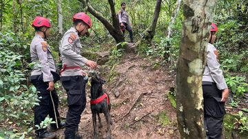 ANJING PELACAK K-9 DITURUNKAN, Misi Pencarian Korban Kecelakaan Pesawat ATR 42-500 di Gunung Bulusaraung Diperketat