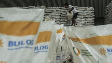 Bulog Akui Rugi Rp550 Miliar di 2025, Begini Penjelasan Resmi Direktur Keuangannya