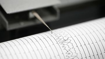 Gempa M 4,3 Guncang Laut Sarmi Papua: Data Awal BMKG, Kedalaman 19 KM, Hingga Potensi Tsunami Nihil