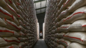 Prabowo Akan Teken Inpres Proyek 100 Gudang Bulog Senilai Rp5 Triliun